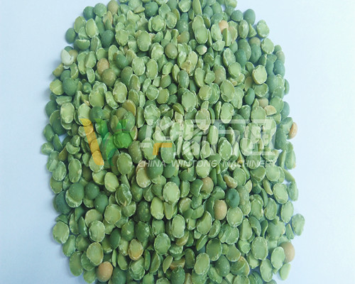 <a href=http://www.duomicrm.com/product/8/ target=_blank class=infotextkey>豌豆脫皮機(jī)</a>